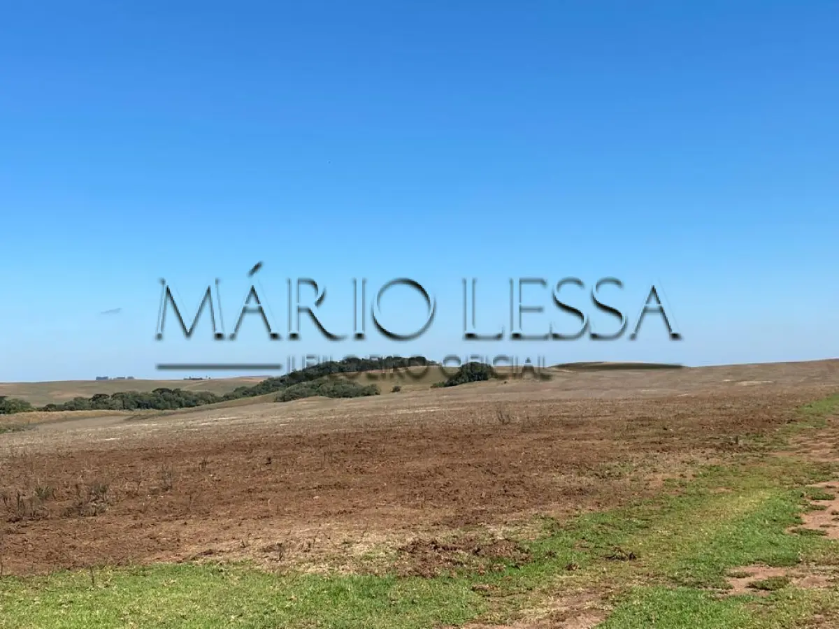 LOTE 001 - Fazenda 167 Hectares em Soledade