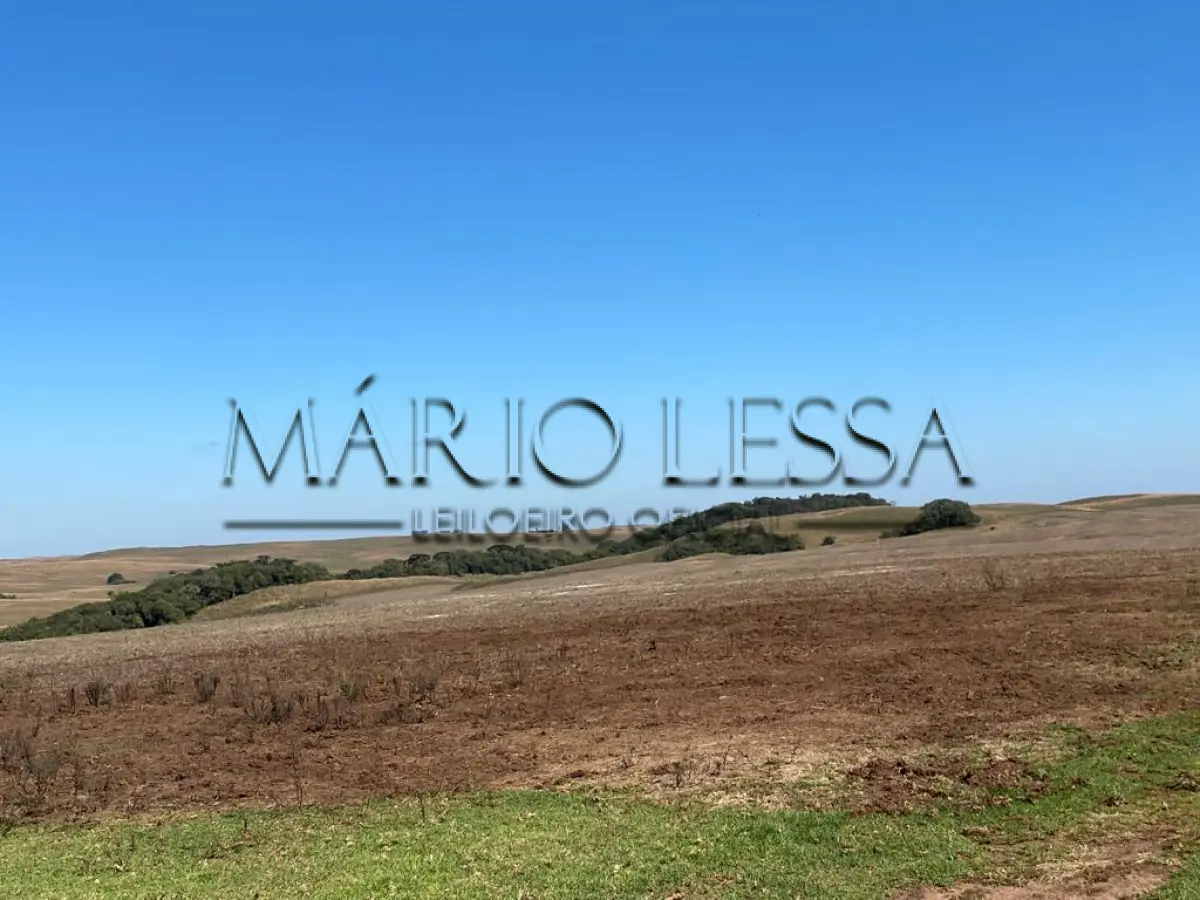 LOTE 001 - Fazenda 167 Hectares em Soledade