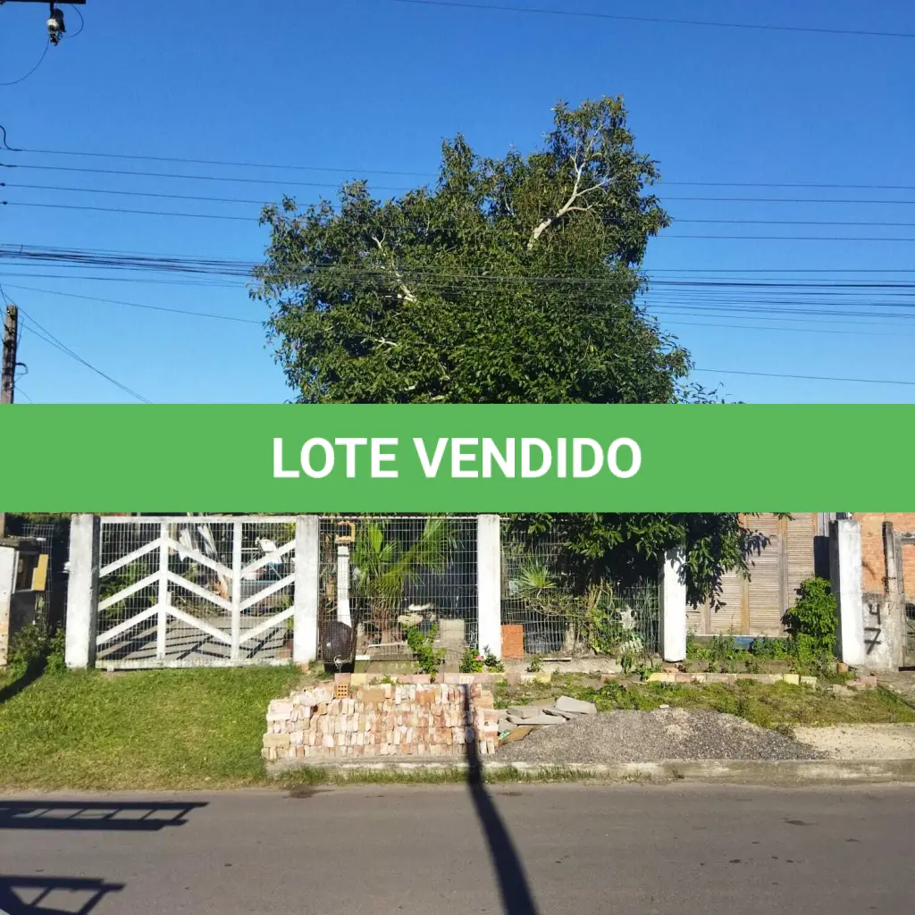 LOTE 001