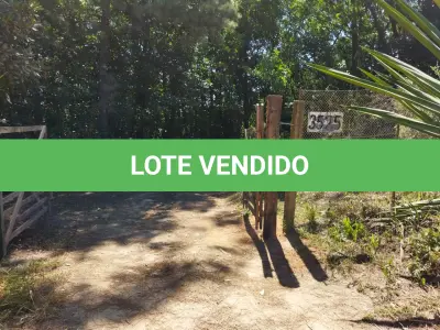 LOTE 005 - Sítio de 8 hectares em Viamão - Espigão