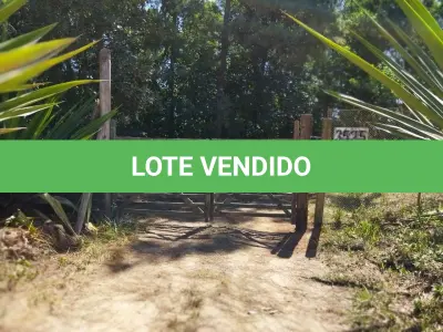 LOTE 005 - Sítio de 8 hectares em Viamão - Espigão