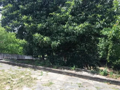 LOTE 005 - Terreno 1100m² Av. Teresópolis 2732. (11x 100)