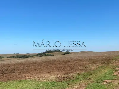 LOTE 001 - Fazenda 167 Hectares em Soledade