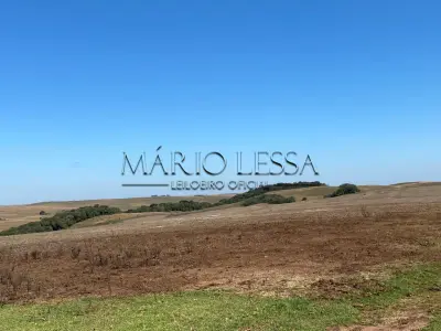 LOTE 001 - Fazenda 167 Hectares em Soledade